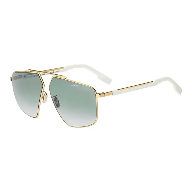 DIOR Street1 Sunglasses-0