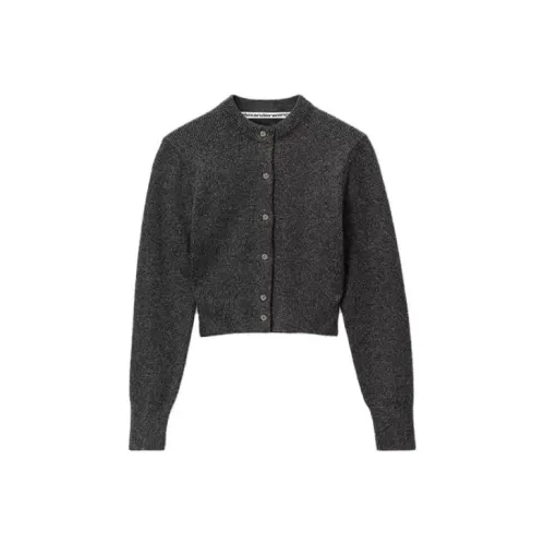 Alexander Wang Sweaters Women's Dark Gray Mixed Color