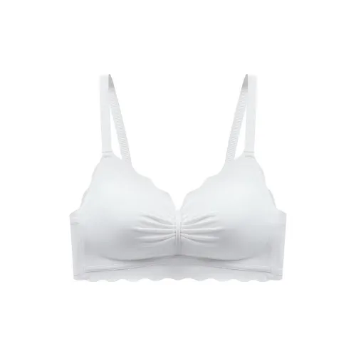 Lanza Women's Bras