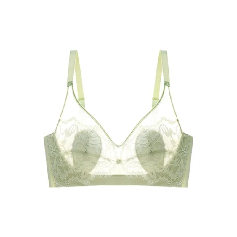 Lanza Women's Bras-7