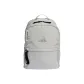 Silver/Metallic Silver/Black