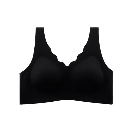 Lanza Women's Bras