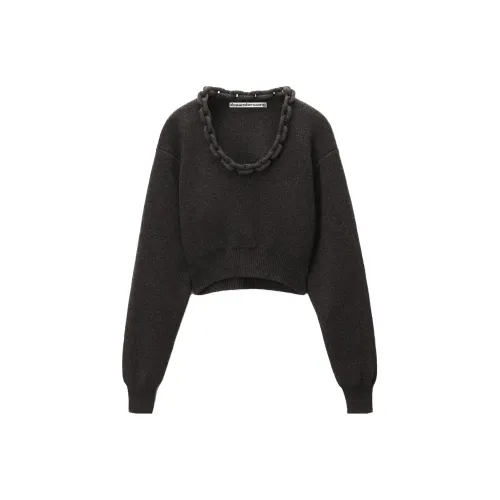 Alexander Wang Sweaters Women's Gray