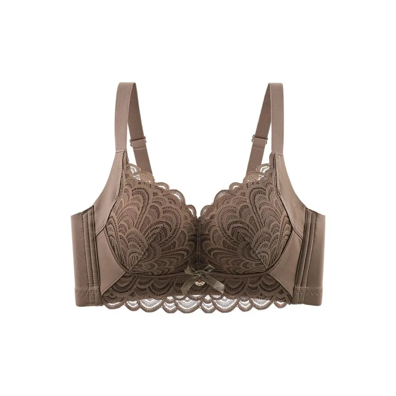 Lanza The Year Of The Dragon Series Bra Women's 2 Pack-30