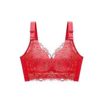 Lanza The Year Of The Dragon Series Bra Women's 1 Pack