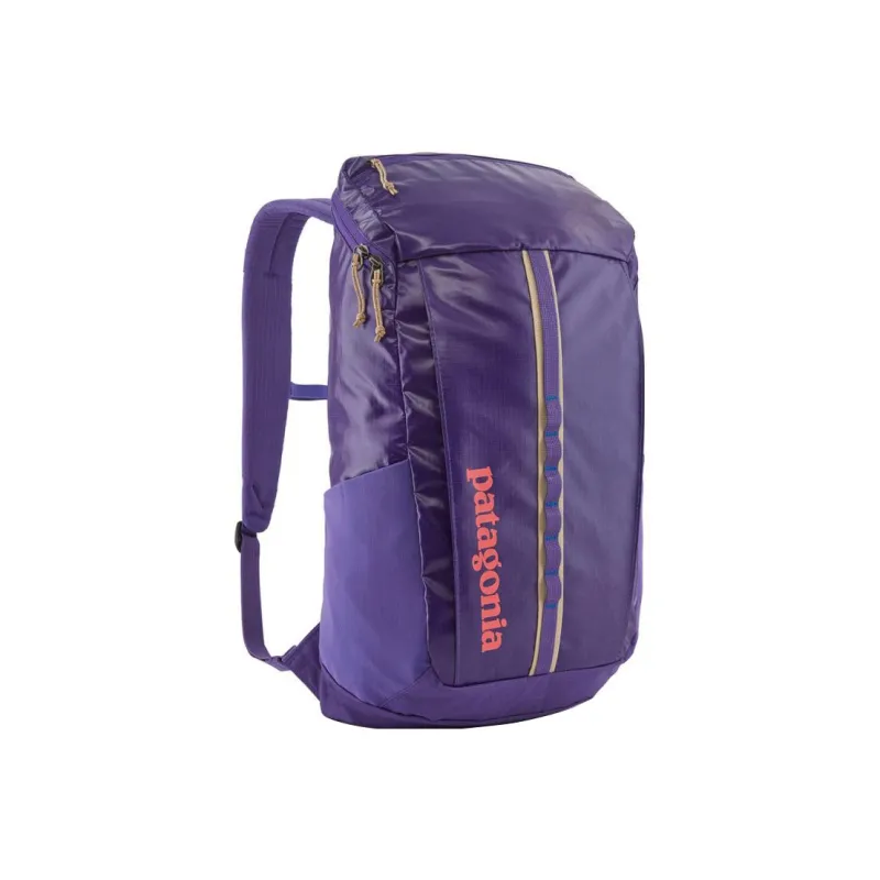 Patagonia Recycled Polyester Backpack Regular Unisex Purple-1