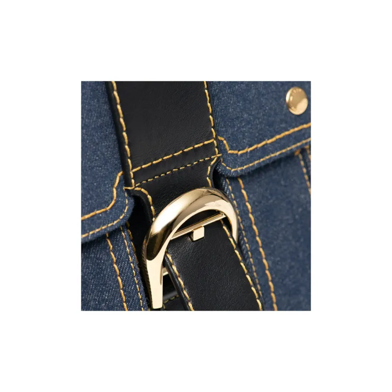 Delvaux Brillant Handbags-4