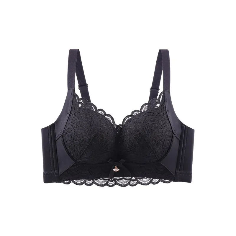 Lanza The Year Of The Dragon Series Bra Women's 2 Pack-20