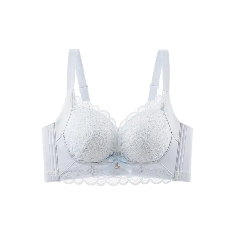 Lanza The Year Of The Dragon Series Bra Women's 2 Pack-40