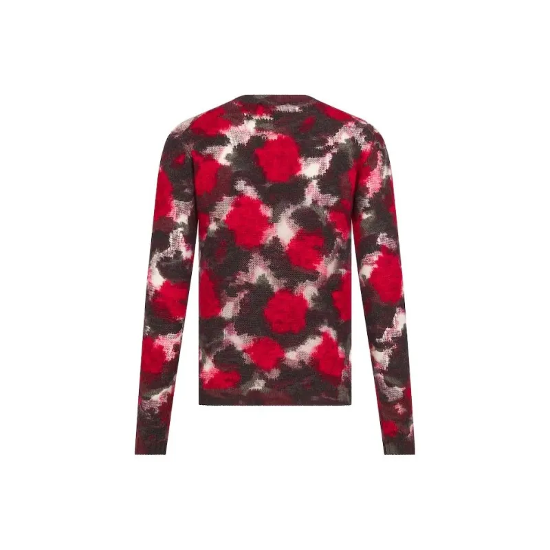 DIOR Sweater 'Red/Multicolor'-1