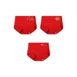 B Set-Continuous Good Luck+Auspicious Dragon and Phoenix+Abundance Every Year