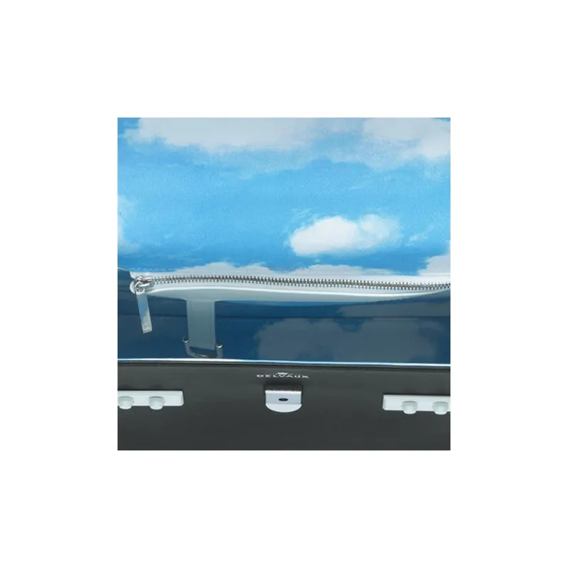 Delvaux Tempête Handbags-4