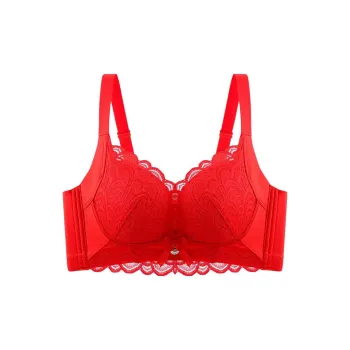 Lanza The Year Of The Dragon Series Bra Women's 2 Pack