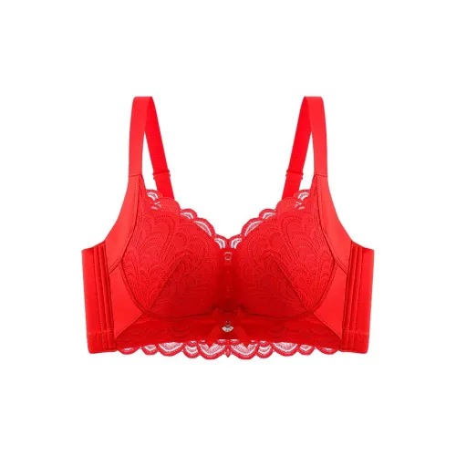 Lanza The Year Of The Dragon Series Bra Women's 2 Pack