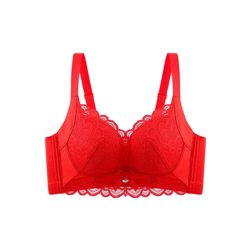 Lanza The Year Of The Dragon Series Bra Women's 2 Pack-0