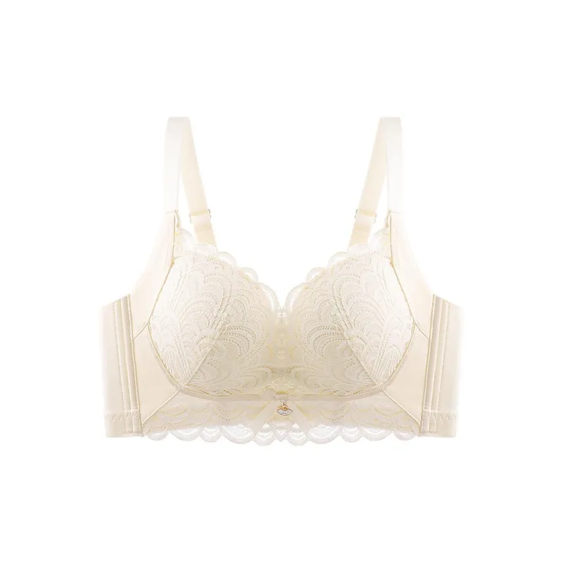 Lanza The Year Of The Dragon Series Bra Women's 2 Pack-48
