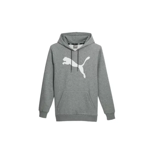 PUMA Big Cat Sweatshirts Men Gray