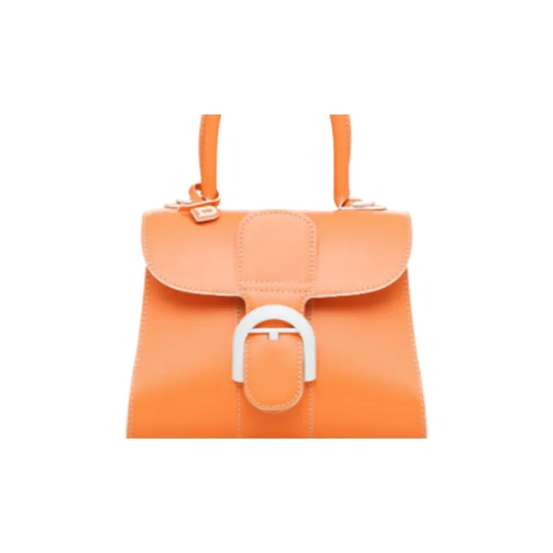 Delvaux Brillant Handbags-3
