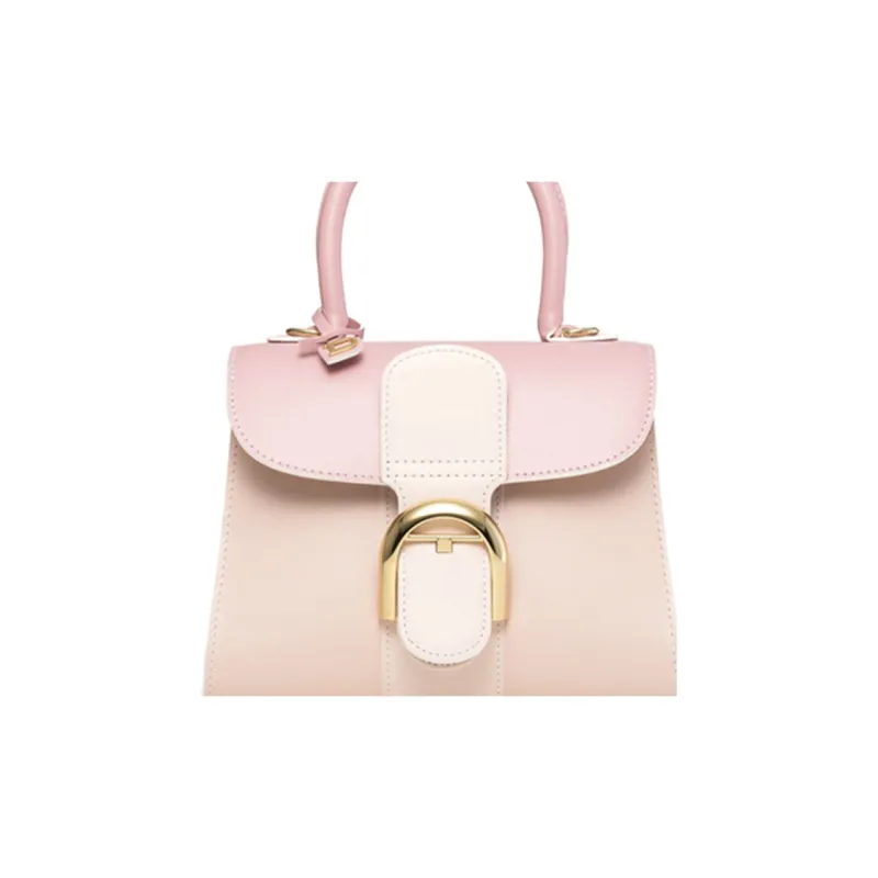 Delvaux Brillant Handbags-4
