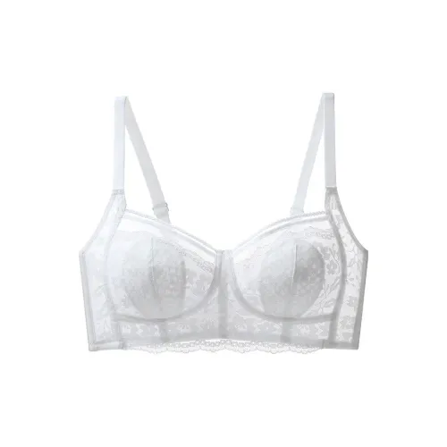 Lanza Women's Bras