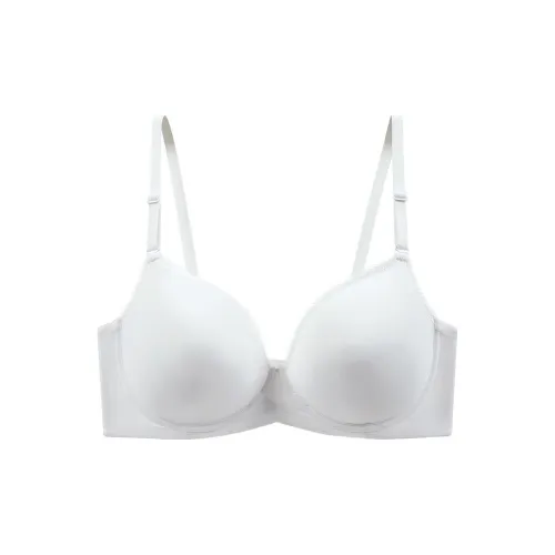 Lanza Women's Bras