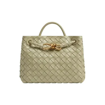 Bottega Veneta Andiamo Small Shoulder Bag