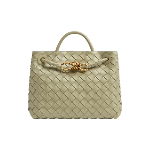 Bottega Veneta Andiamo Small Shoulder Bag