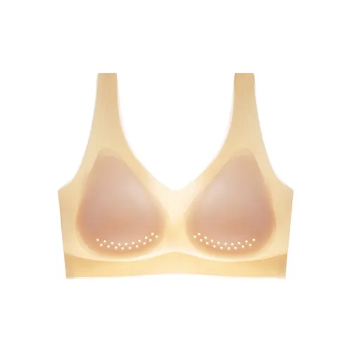 Lanza Women's Bras