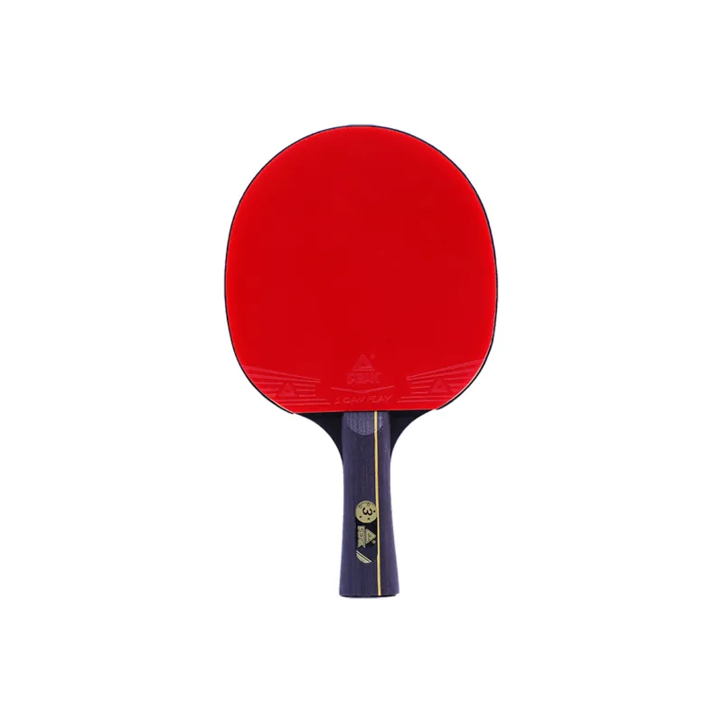 PEAK Ping Pong Paddles-1