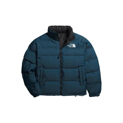 THE NORTH FACE Men Jacket