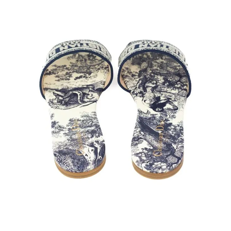 DIOR Dway Stylish Sandals Women's Blue-3
