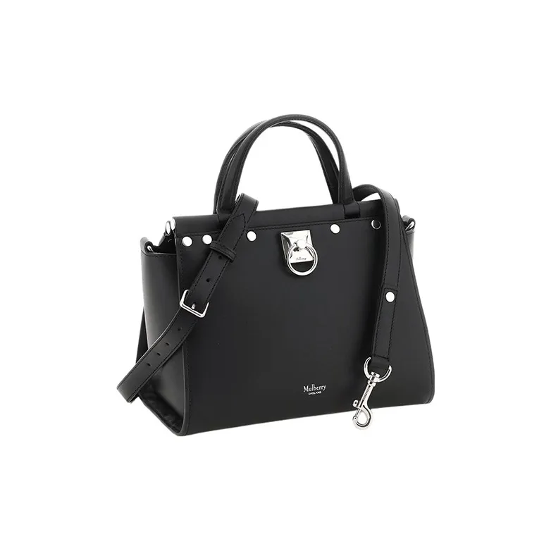 Mulberry Iris Top Handle Handbag-1