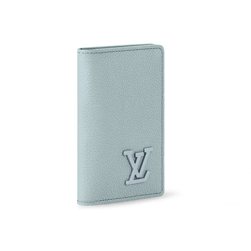 LOUIS VUITTON Pocket Organizer-1