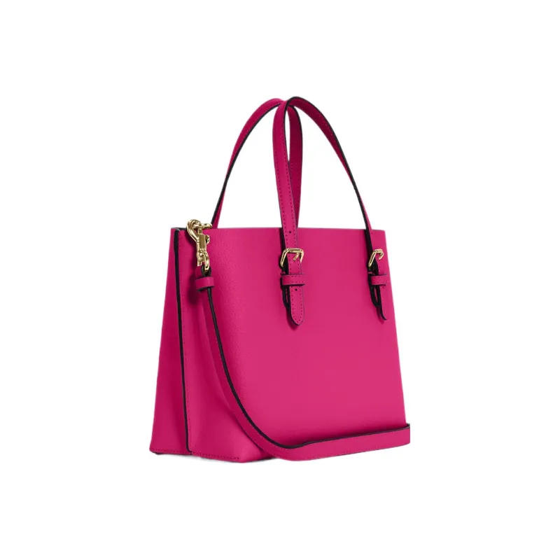 COACH Mollie Handbags-1