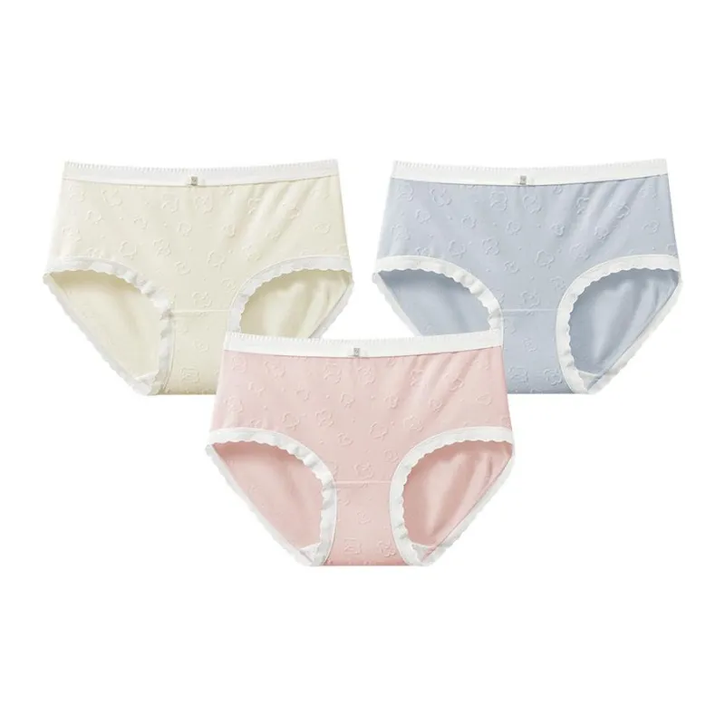 SecretWorld Women's Underpants-4