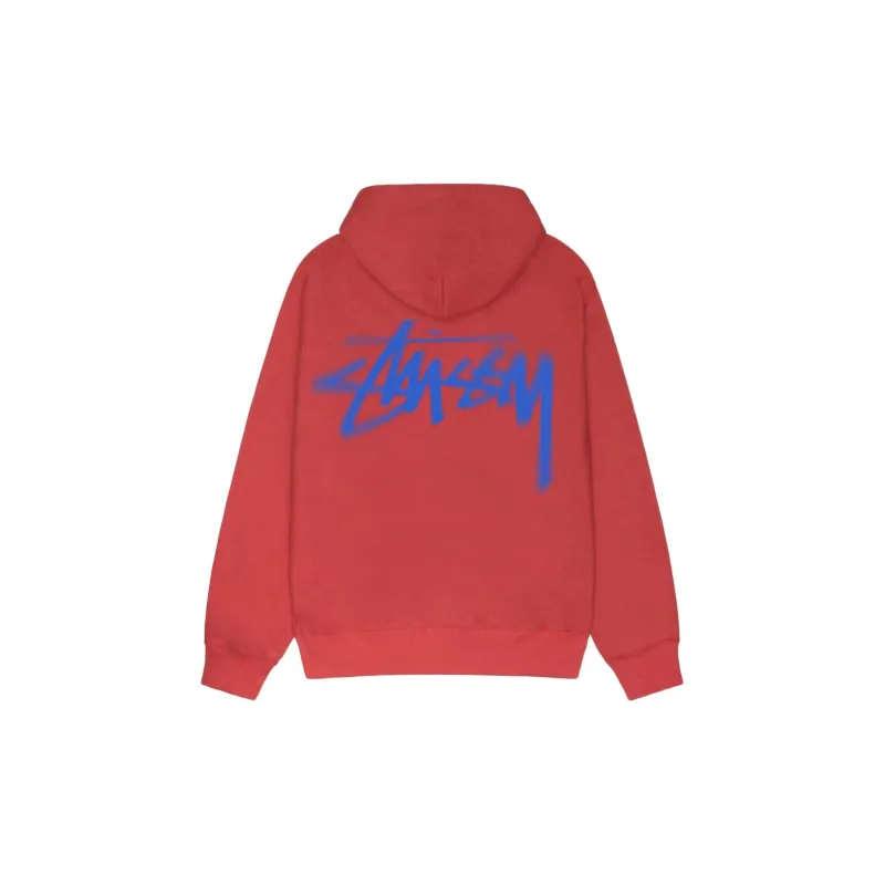 Stussy Dizzy Stock Hoodie-5