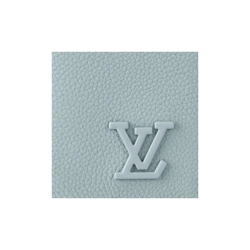 LOUIS VUITTON Pocket Organizer-4