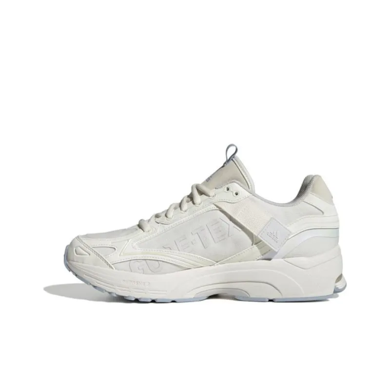 Adidas Spiritain 2000 Gtx 'Beige Baby Blue' Women's-0
