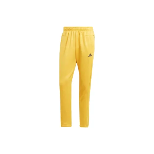 Adidas Knitted Sweatpants Men Yellow