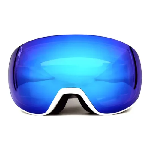 Adidas Skiing Glasses