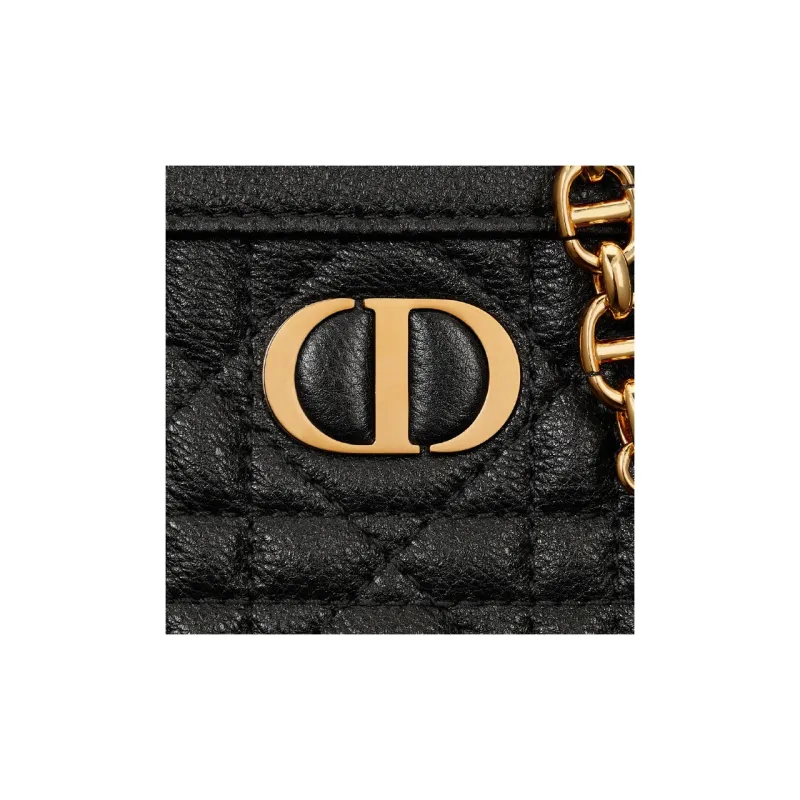 DIOR Caro Cow Leather Clutch Women's Black-5