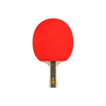 DHS Ping Pong Paddles