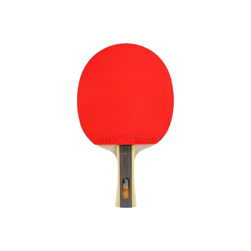 DHS Ping Pong Paddles