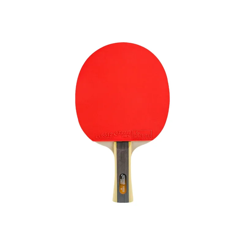 DHS Ping Pong Paddles-0