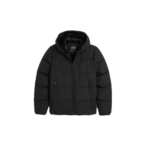 Hollister Jackets Men Black