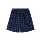 Blue Small Plaid