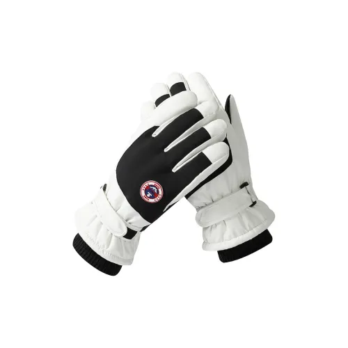 AXK Motorcycle Protective Gears
