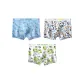 3 Pack (Gaming Boy+Trendy Graffiti+Skateboard Youth)