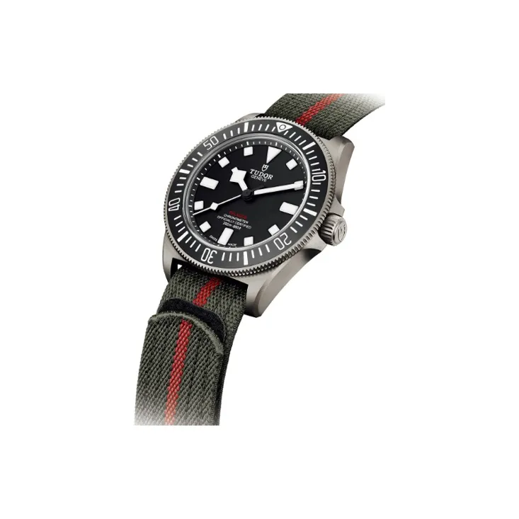 TUDOR 2024 Unworn Pelagos Fxd 42mm-1