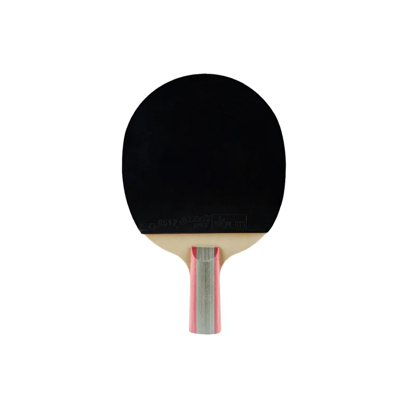 DHS Ping Pong Paddles-7